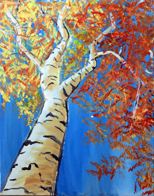 12003882_744620238971381_966779686534784628_n