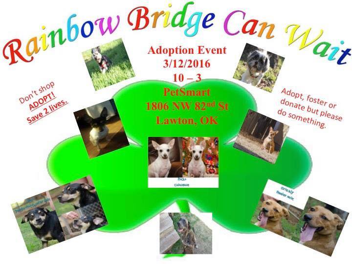 12821332_10207840058453114_5417282891081484837_n